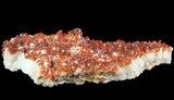Ruby Red Vanadinite Crystals on Pink Barite - Morocco #82383-1